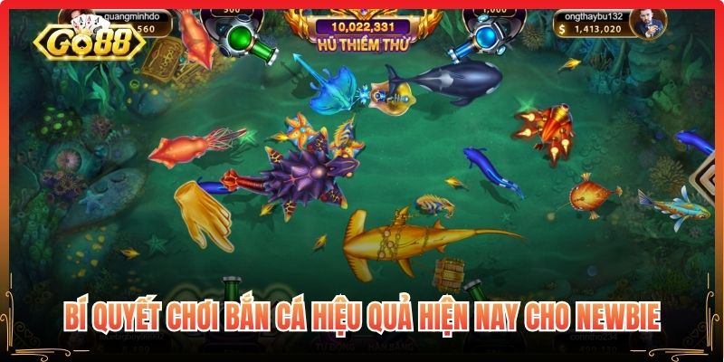 Bí quyết chơi bắn cá hiệu quả hiện nay cho newbie